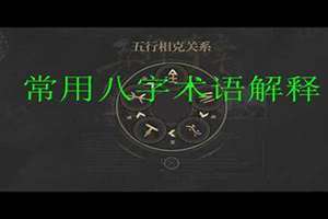 八字术语解释(总论)(八字术语解释)