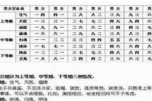 四柱八字婚姻直断法(四柱八字婚姻)