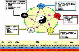 华字五行属什么属性怎么取名(华字五行属什么属性)