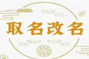 哪里取名字取的好(哪里起名好)