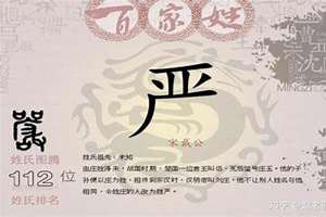 严宝宝名字2020年(严宝宝起名)