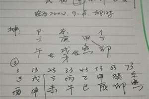 八字术语详解500(八字术语详解)