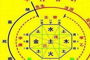 八字的用神是什么意思?(八字的用神)