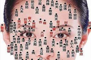 女人面相名称大全集(女人面相名称大全)