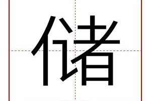 储字起名字男孩(储字起名)