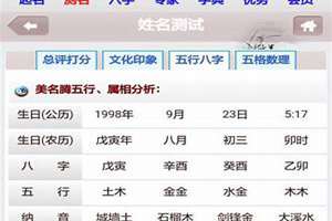 公名称测吉凶(公起名字测试打分)