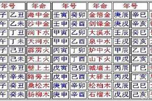 八字命书精批终身(八字命数)