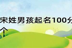 宋姓男孩起名100分的属鸡(宋姓男孩起名100分的)