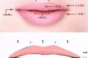唇窝面相学(唇窝面相)