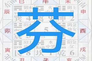 名字中禁用字怎么设置(名字中禁用字)