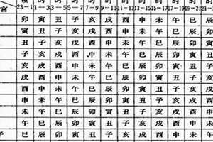 八字乙亥日柱(八字乙亥)