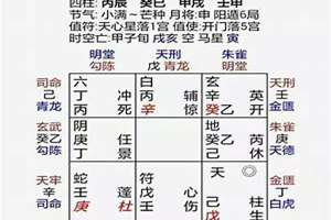 兔的八字算命是什么(八字什么兔)