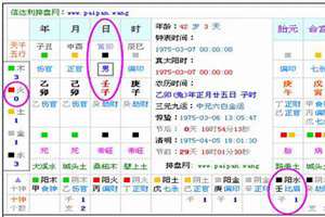 八字最好的日柱(八字最好)