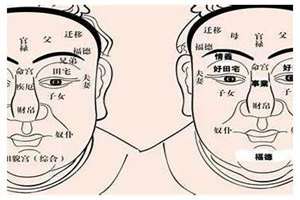 八字相貌极其秀美的人(八字与相貌)