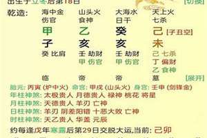 丁酉八字得月令表(丁酉八字)