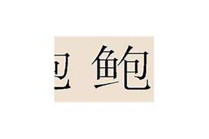 姓鲍取什么名字好听(姓鲍起名字)