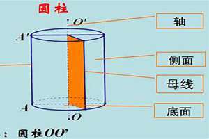 圆柱的侧面与底面相交形成几条线这些线是直线还是曲线(圆柱的侧面与底面相)