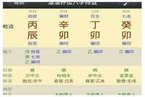 溜溜好运八字排盘免费(溜溜好运八字排盘)