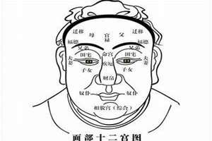 和尚命面相特征脱发(和尚命面相)