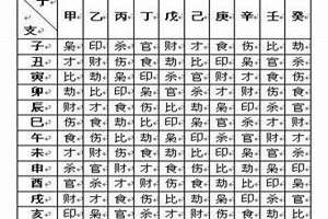 生辰八字元神含义(八字元神是什么意思)