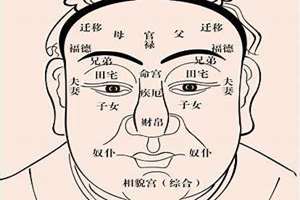 37岁运势走到面部哪个部位(37运势看面相哪里)