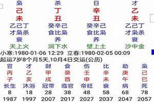 八字预测实例视频(八字预测实例)