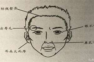 能逢凶化吉说明是运气吗(可以逢凶化吉的面相嘛)