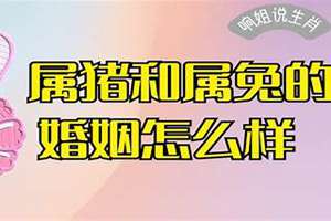 2016年属兔人的全年运势男性(2016年属兔的婚姻)