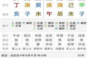 八字点评免费(八字点评)