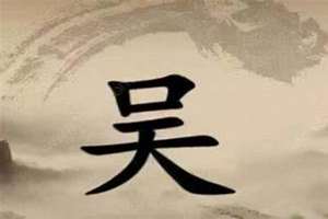 吴起什么名字好听女孩(吴起名字)