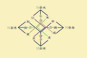 八字三合三会代表什么(八字三合三会)