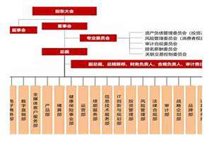 保险部门起名怎么起(保险部门起名)