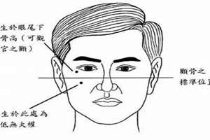 头骨面相看寿命长短怎么看(头骨面相看寿命长短)