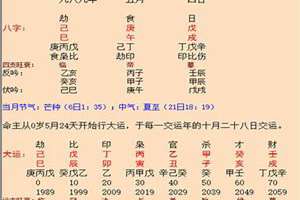 壬日八字命理(壬日干八字)