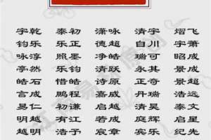 国起名字男孩名字怎么取(国起名字男孩名字)