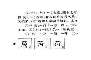 以荷字起名字女孩(以荷字起名字)