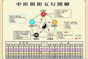 八字五行阴阳对照表(八字五行阴阳)