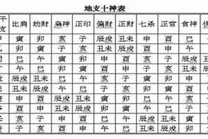 八字地支十神怎么看(八字地支十神)