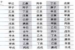 八字干支合化表(八字干支合)