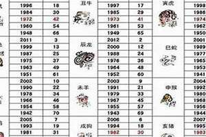 03年的属什么生肖的(03年的属什么)