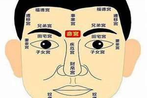 男人八字嘴看相图解(八字嘴男人的命运)