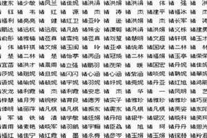 大人起名字2023免费八字起名(大人起名字)