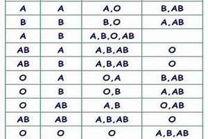 o型血和o型血婚姻配对(o型血与o型血婚姻)