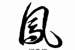 凤起名字男孩子(凤起名字)