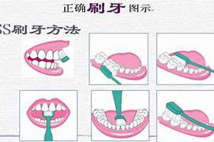 八字刷牙法视频教学(八字刷牙法)