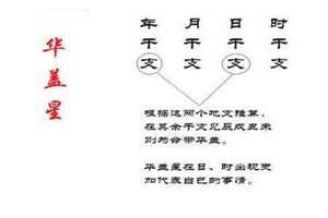 八字未入正格是什么意思(八字未入正格)