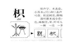 女孩在枳字起名字大全(女孩在枳字起名字)