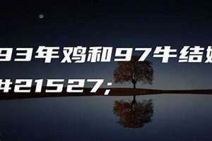 93年鸡和97牛生什么宝宝好(93年鸡和97牛结婚好吗)