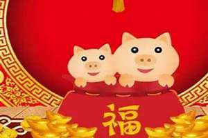 2019猪年宝宝起名大全男孩(2019猪年宝宝起名大全)