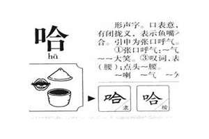 哈起名字三个字(哈起名)